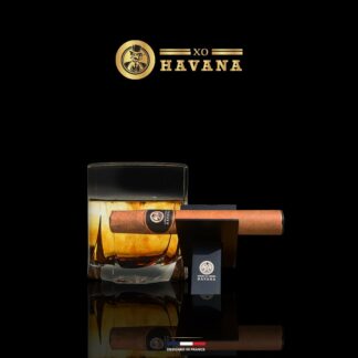 XO Havana
